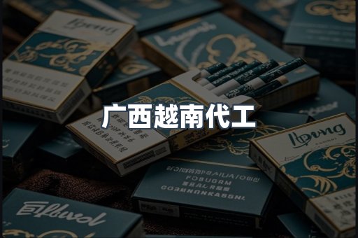 广西越南代工